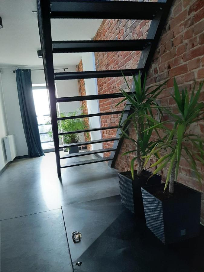 Apartamenty Gliwice Staromiejska 65 ภายนอก รูปภาพ